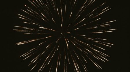 A gold firework in the night sky